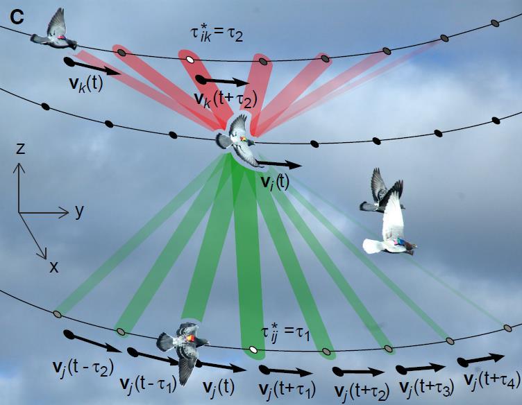 Navigációs kompetencia mérés Corr i ij v ( t') v (, t) j ( t' ) t' [ t3s; t3s] * ( t) ij max( Corr ij (,