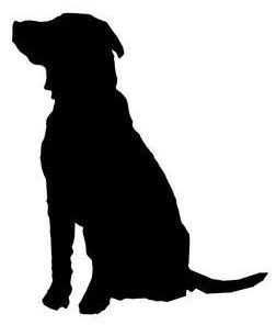 Vicsek, Identification of Behaviour in Freely