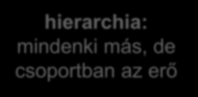 hierarchia: mindenki