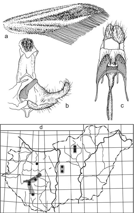 Microlepidoptera Pannoniae meridionalis, VII. Faunisztikai és taxonómiai adatok Somogy megyéből 105 5.