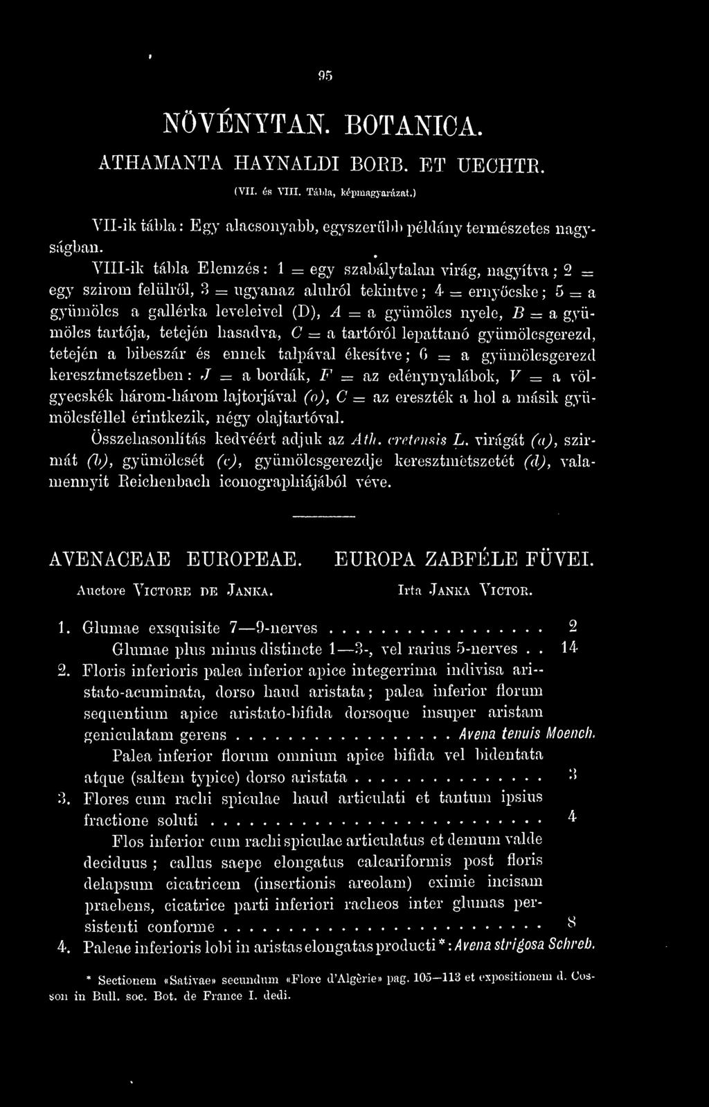 4 = a gyümölcs nyele, B = a gyümölcs tartója, tetején hasadva, C = a tartóról lepattanó gyüraölcsgerezd, tetején a bibeszár és ennek talpával ékesítve ; = a gyümölcsgerezd keresztmetszetben : J?