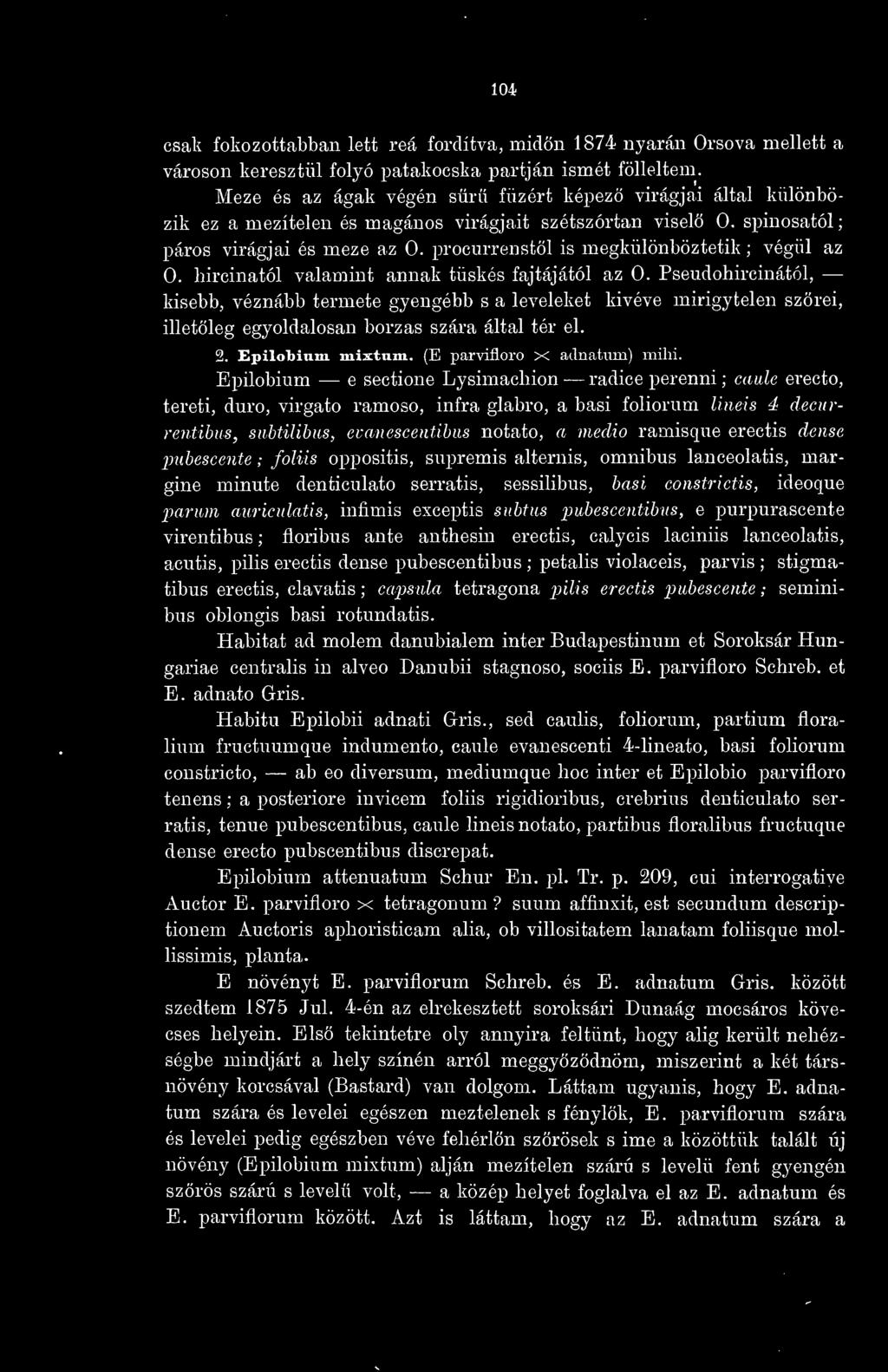 procurrenstöl is megkülönböztetik ; végül az 0. hircinatól valamint annak tüskés fajtájától az 0.