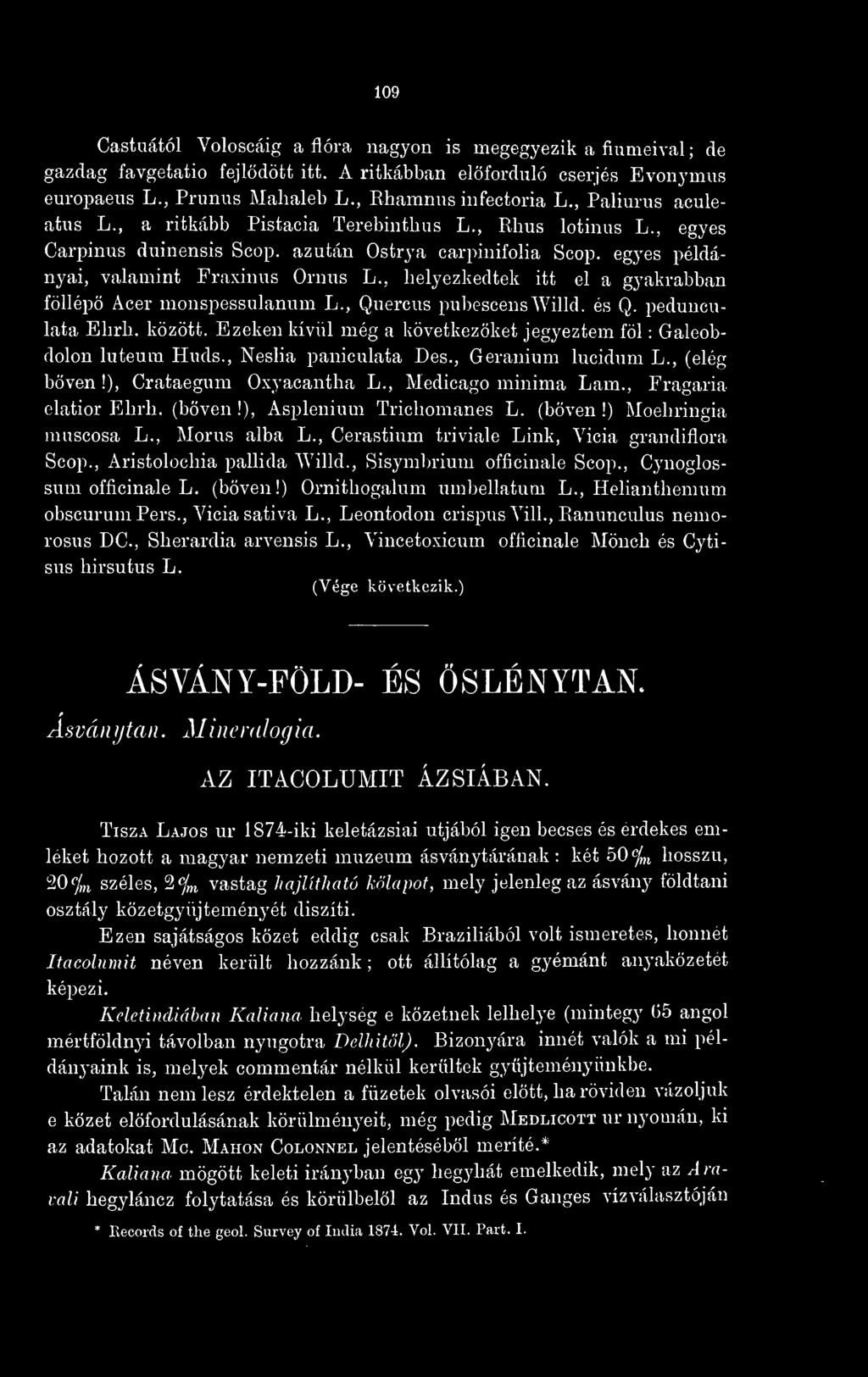 , Morus alba L., Cerastium triviale Link, Vicia grandiflora Scop., Aristolochia pallida Willd., Sisymbrium officinale Scop., Cynoglossum officinale L. (bven!) Ornithogalum umbellatum L.