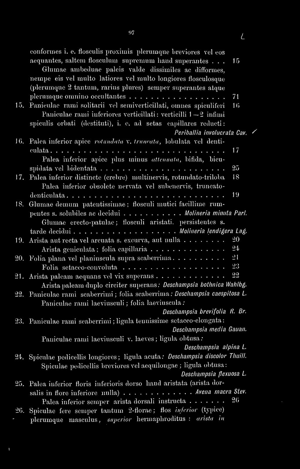 occultantes 71 15. Paniculae rami solitarii vel semiverticillati, omnes spiculiferi Ki Paniculae rami inferiores verticillati : verticilli 1 2 infimi spiculis orbati (destituti), i. e.