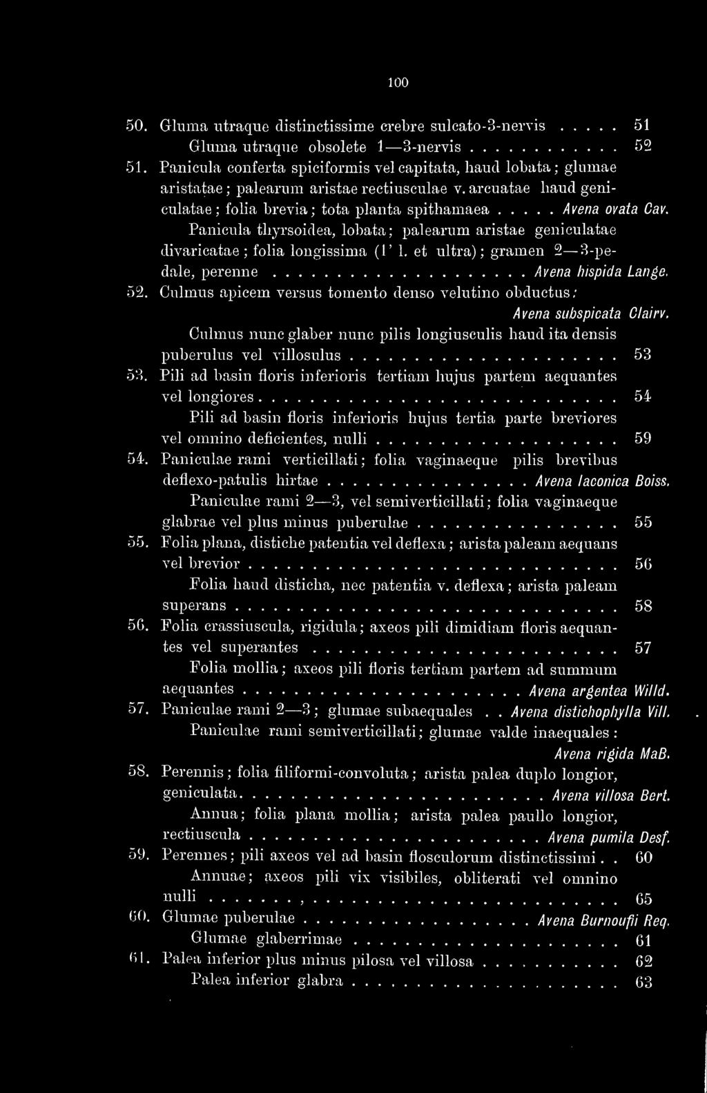Panicula tbyrsoidea, lobata; palearum aristae geniculatae divaricatae ; folia longissima (1' 1. et ultra); gramen 2 3-pedale, perenne 52.