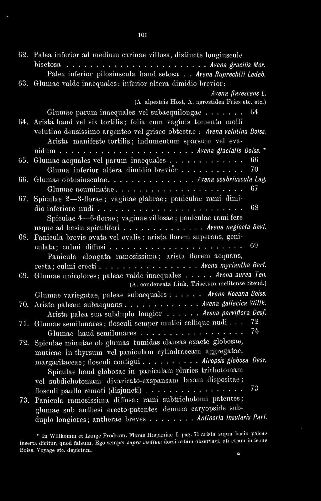 Arista baud vel vix tortilis ; folia cum vaginis tomento molli velutino densissimo argenteo vel griseo obtectae : Avena velutina Boiss.