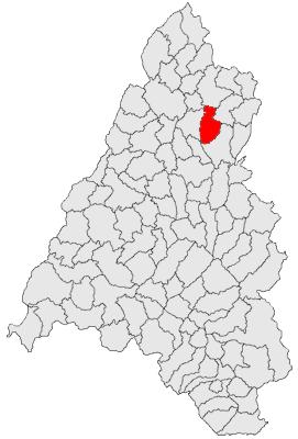CADRUL DE REFERINȚĂ DIAGNOZA COMUNEI TĂUTEU Profilul localității Așezare geografică Comuna Tăuteu este așezată la o distanță de 68 km de municipiul Oradea și la 10 km