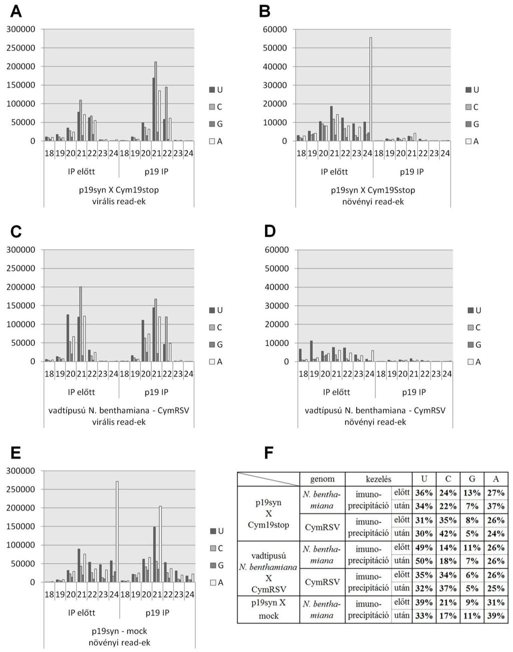 8. ábra KisRNS-ek méretbeli megoszlása 5 kezdő nukleotid szerint 1 millió totál read-re normalizált relatív egységekben. A p19 immunoprecipitált (után) és annak kiindulási mintáiban (előtt).