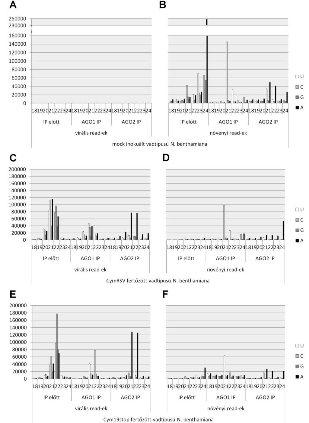 esetén az AGO1 IP mintában vsirns-eket alig detektáltunk, Cym19stop esetén viszont erős jelet kaptunk (Kontra et al. 2016). 23.