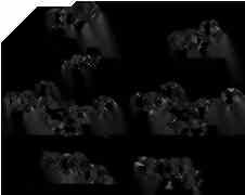 NATURAL PLANT COMPOUNDS WITH SCHISTOSOMICIDAL ACTIVITY 123 FIGURE 8-8 Flavonoids with schistosomicidal activity.