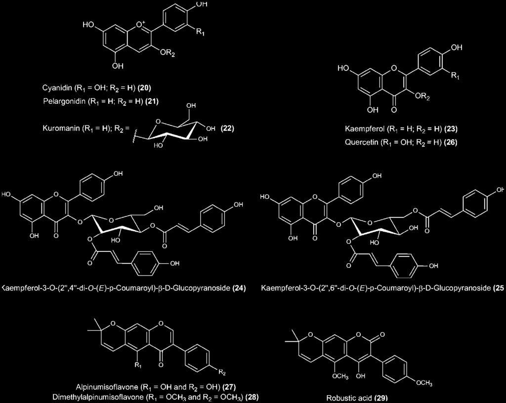 The isolation process led to the identification of alpinumisoflavone (compound 27, Fig. 8-8), dimethylalpinumisoflavone (compound 28, Fig. 8-8), and robustic acid (compound 29, Fig.