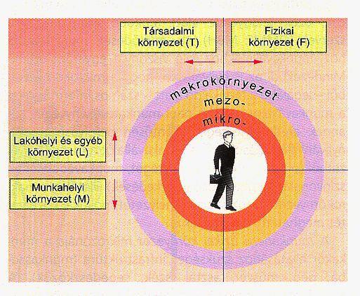 Probléma: modern életforma régi idegrendszer és régi sejt-struktúra az evolúció során másra alakult ki a problémamegoldó rendszer az evolúció lassabb, mint a modern