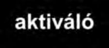 Az intracitoplazmatikus szakasz lehet hosszú(l) általában 3 ITIM motívummal, a ligandummal való kapcsolat gátló szignált vált ki, vagy rövid (S), amelyek általában adaptor fehérjék közvetítésével