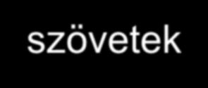 szövetek Nyirokcsomóban