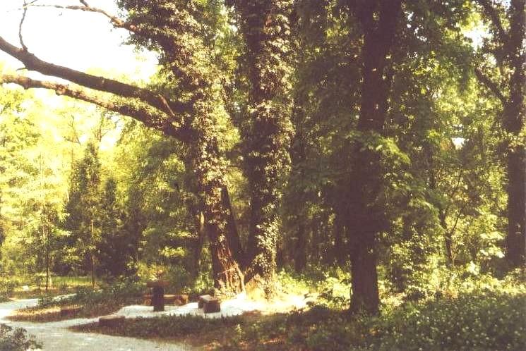 127 Az arborétum alapjait az a 1867-ben létesített 2 hektáros sétakert vetette meg, amelyet a vidék őshonos fáival telepítettek be.