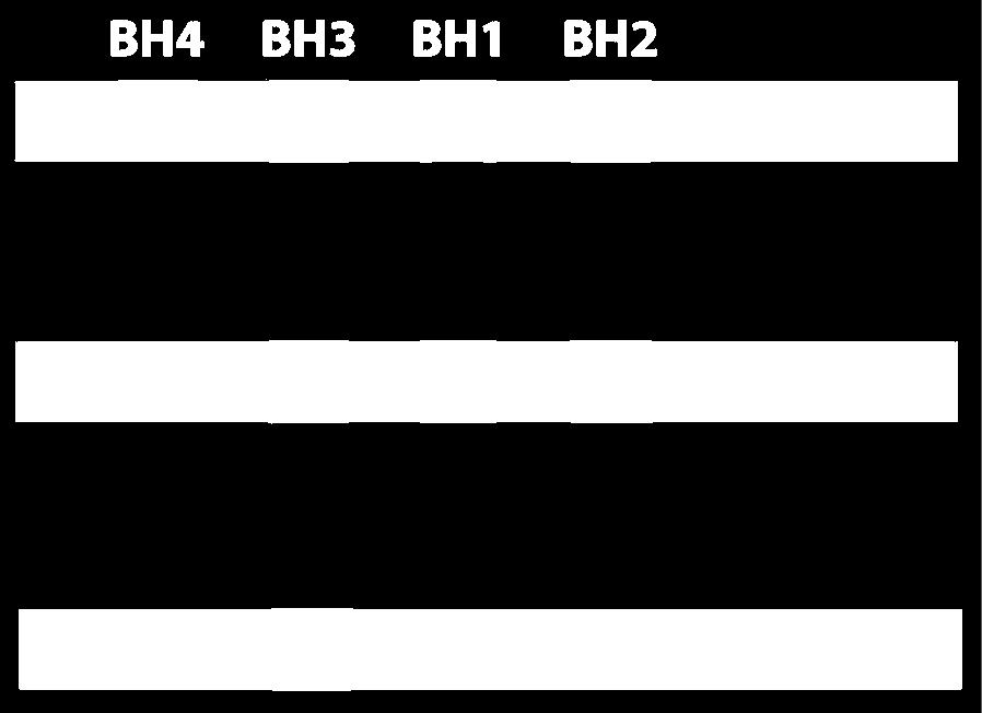 A Bcl-2 fehérjék 3 csoportja 5. Anti-apoptotikus Bcl-2 fehérjék pl.