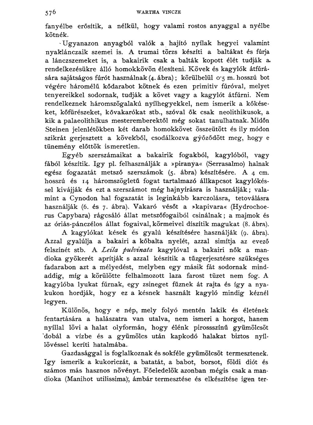 5 7 6 WARTHA VINCZE fanyélbe erősítik, a nélkül, hogy valami rostos anyaggal a nyélbe kötnék. Ugyanazon anyagból valók a hajító nyilak hegyei valamint nyaklánczaik szemei is.