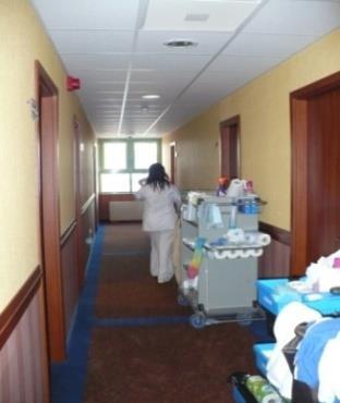 Tisztaság és szálloda elméleti áttekintés Rend a lelke mindennek Szállodai szolgáltatásban a vendégvisszajelzések mindegyikénél a tisztaság jelent meg első helyeken Amennyiben a vendég nem érzi a