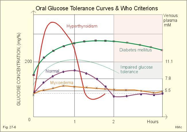 Normál vércukorszint: 4,5-6,2 mm OGTT (Orális Glükóz-Tolerancia Teszt): 75 g cukor éhgyomorra 1 órán belül érje el a max.