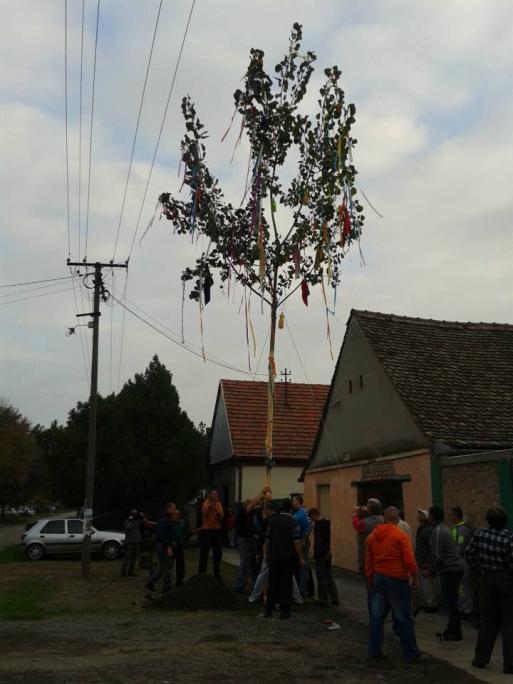 obiţajima. Nekada su se organizovala takmiţenja spretnosti, uglavnom konjske trke, a pobednik je odneo kratkoveţnu titulu Kralja Duhova (mať. Pünkösdi király).