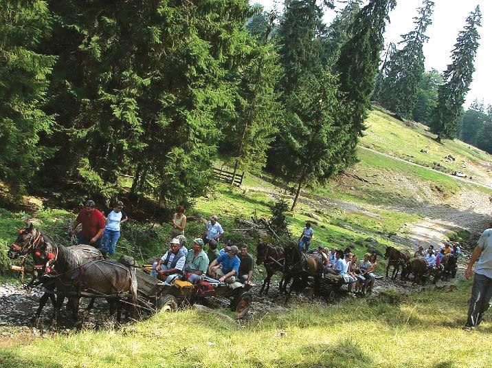 nap: szekerezés Székelyvarságon, az erdõkkel szabdalt hegyi szór vá ny tele pü - lésen a falut alkotó tanyabokrok között.
