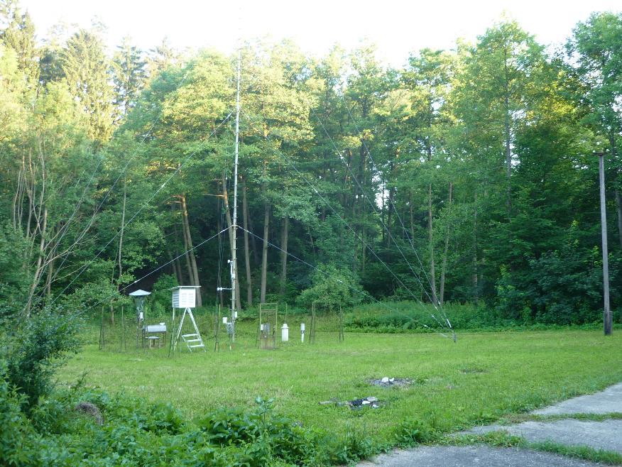 3.2. ábra: A fénycsapdázás helyszíne a természetközeli (T) területen (szerző felvétele) A második vizsgálati helyszín a város központjától távol, Sopron külvárosi területén (Bánfalva, Kertvárosi