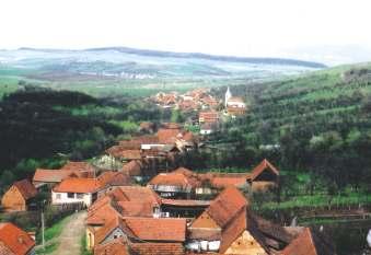 I Mediul natural Aşezarea geografică Capitolul I Tămăşasa este unul din cele 458 sate ale judeţului Hunedoara fiind aşezată în partea estică a acestui judeţ.