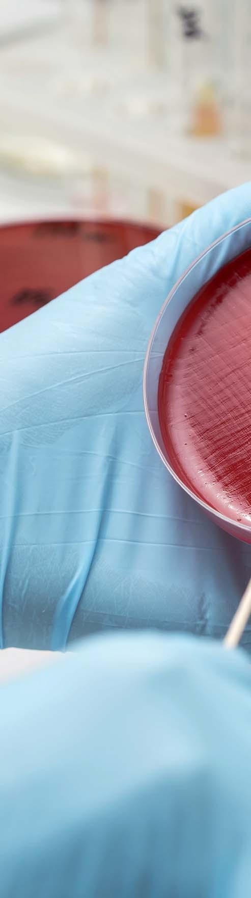 PCR & Molecular Biology Certified Products for Applications in PCR, Molecular Biology & Research