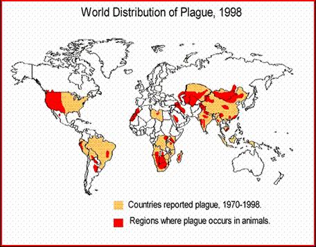 Napjainkban WHO adatok: 1-3000 fertőzés évente 2003: 2,118 (182); 98% Afrikában.