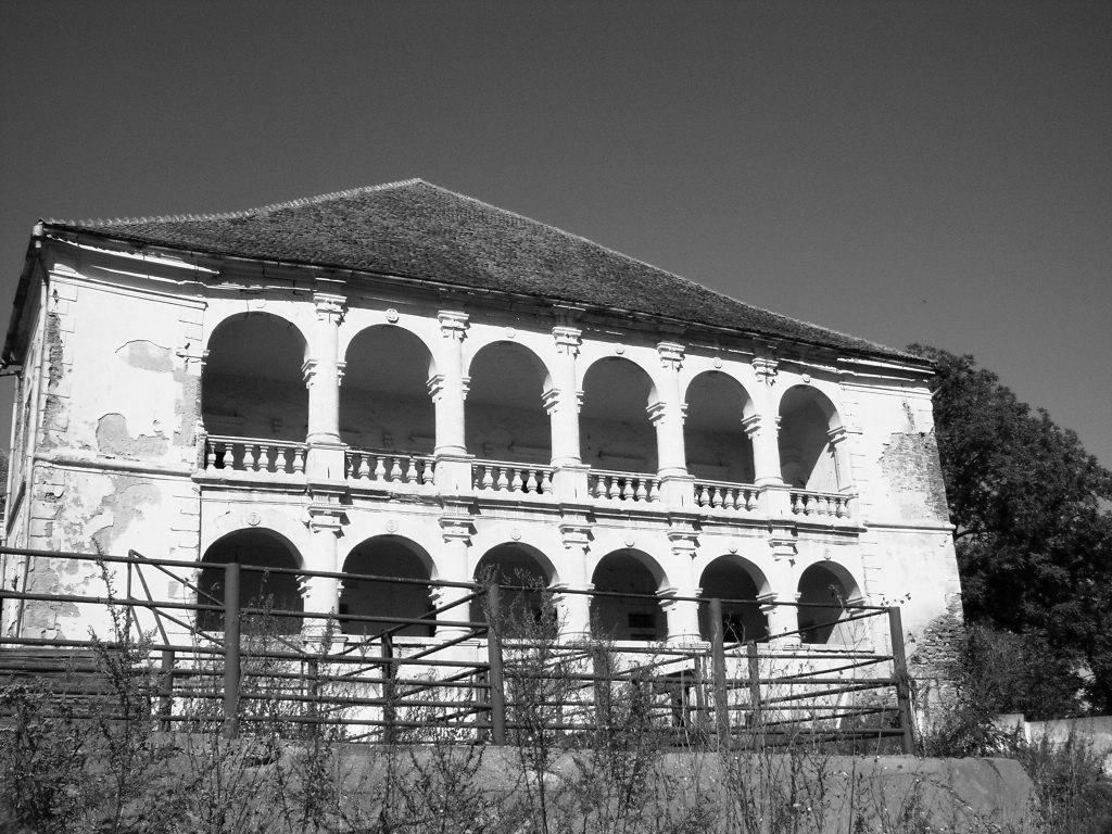 (foto 2006) Fig. 11. Sânmiclăuş. Castelul Bethlen.