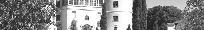 În partea dreaptă, în planul îndepărtat, se observă poarta de acces în incintă şi plantaţia deasă a peluzei desfăşurate la vest de castel.
