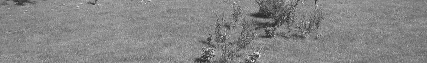 şanţul pe un pod şi cu o verandă închisă - la nivelul celui dea-l doilea etaj orientată spre peluzele ornamentale; faţada nordestică, îndreptată spre peluza plantată liber, se deschide spre