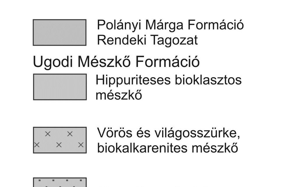 KIRÁNDULÁSVEZETŐ A kőfejtő északi részén a Tatai Mészkőre települő, csupán néhány méter vastag rudistás mészkövet pelágikus medence fáciesű mészkő vékony rétegei fedik (7. ábra).