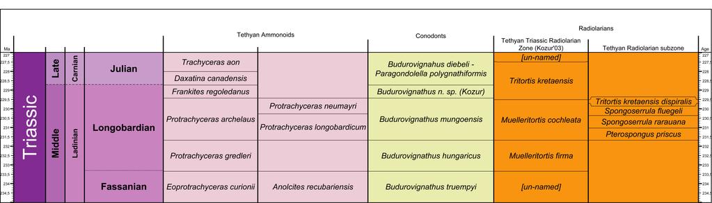 KIRÁNDULÁSVEZETŐ A feltárás sokszínű és viszonylag gazdag faunája révén az ammonoideák, conodonták és radioláriák alapján felállított különböző biosztratigráfiai besorolások korrelációjára is