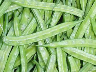 (Fabaceae) guar Middle East, India, Africa Powdered seeds of the husk