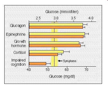 Hypoglykaemia első védekezés - inzulin elválasztás csökkenés, már 4.2 mmol/l-es vércukorszintnél megkezdődik, majd ezt követően aktiválódnak az ún.