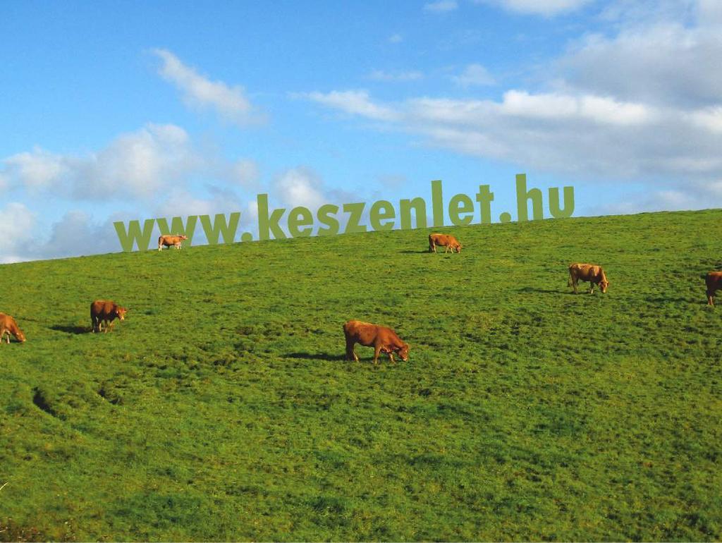MAGAZIN Faresin