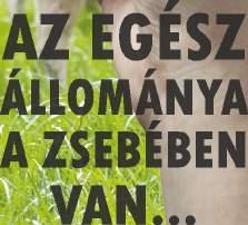 tehén készen áll a megtermékenyítésre