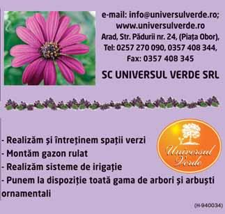 Acum se lucrează la partea de iluminat care va pune în valoare întreaga lucrare.
