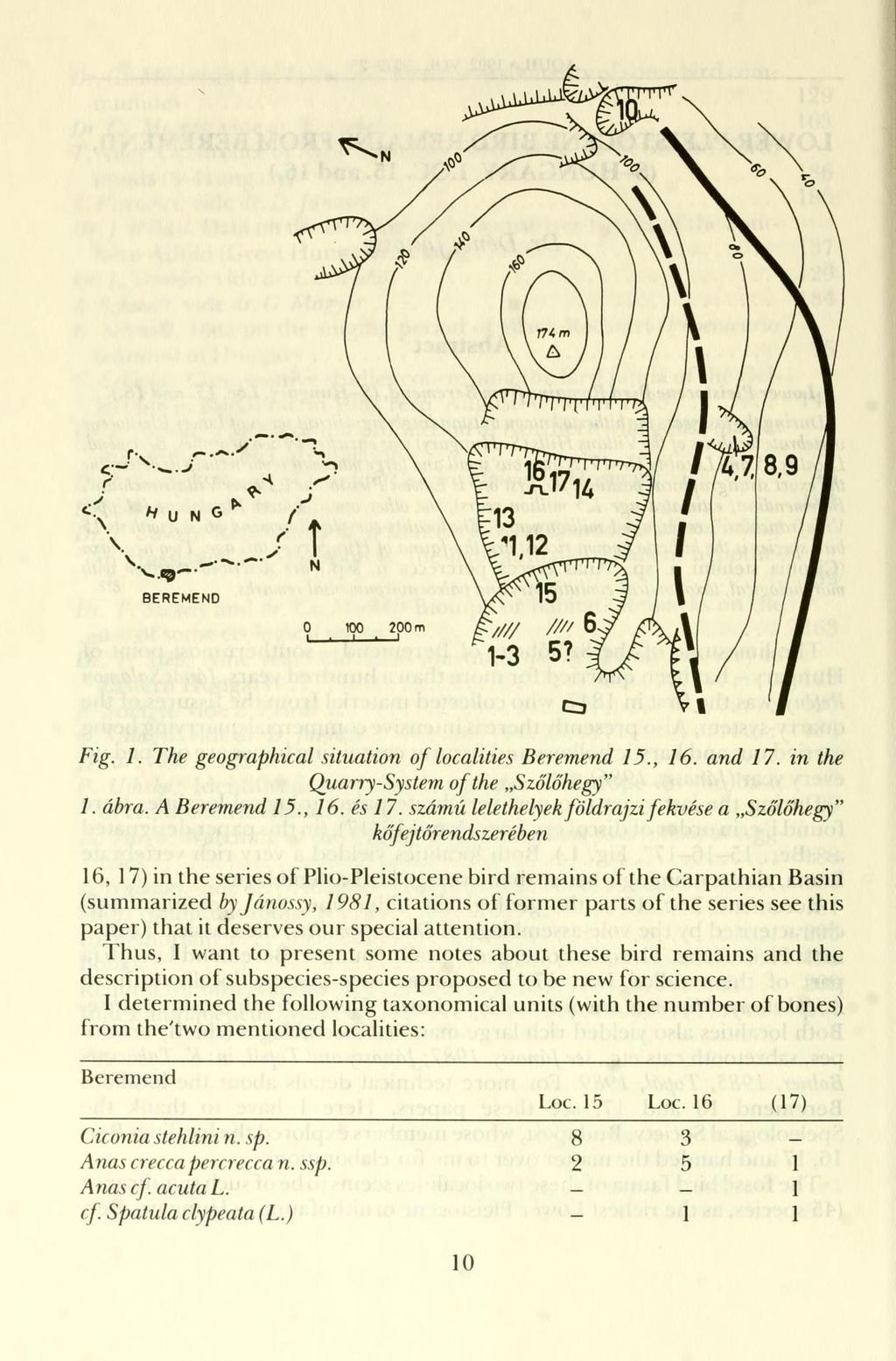 Fig. 1. The geographical Situation of localities Beremend 15., 16. and 17. in the Quarry-System of the Szőlőhegy" 1. ábra. A Beremend 15., 16. és 17.