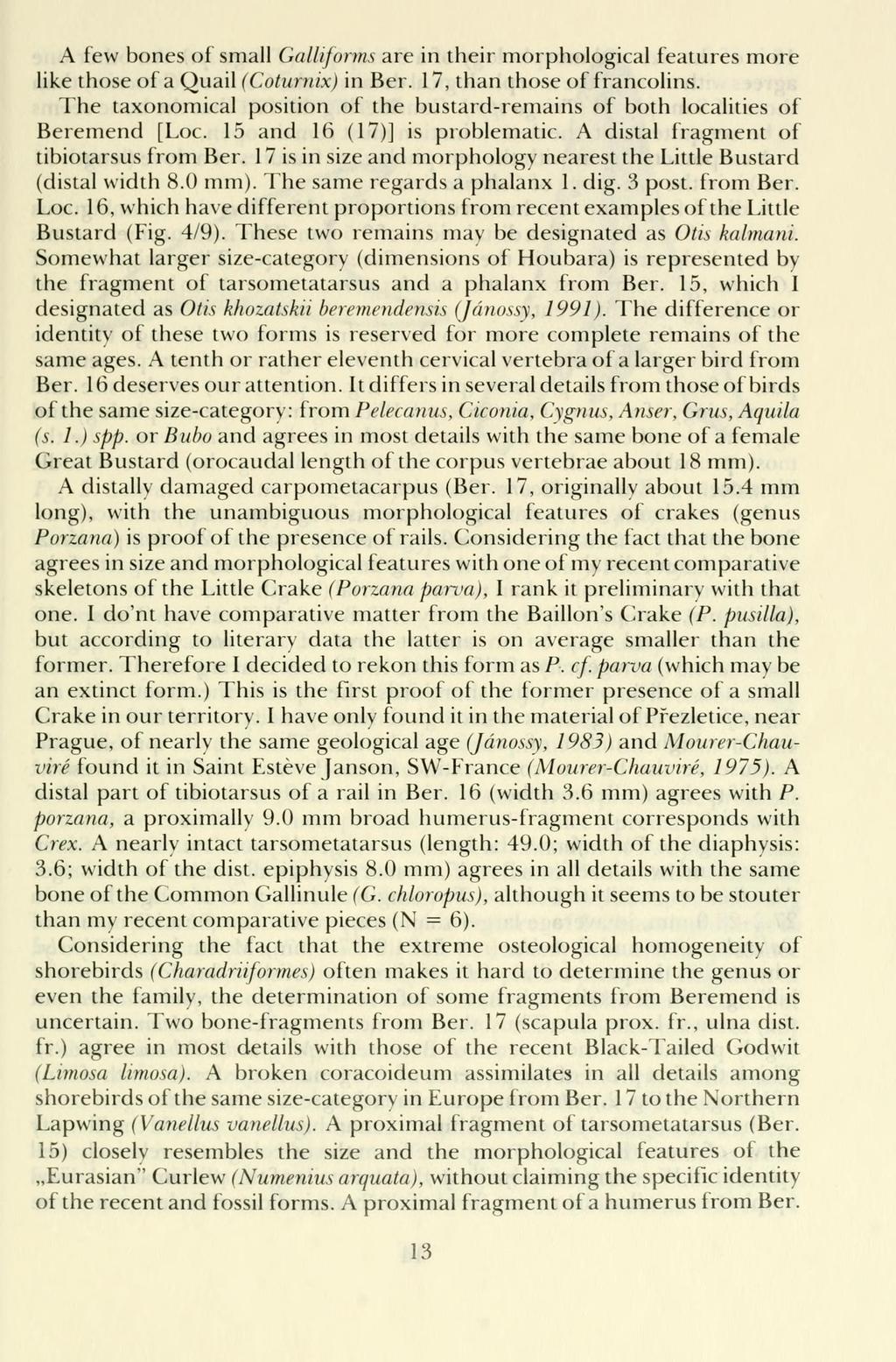 A few bones of small Galliforms are in their morphological features more liké those of a Quail (Coturnix) in Ber. 17, than those of francolins.