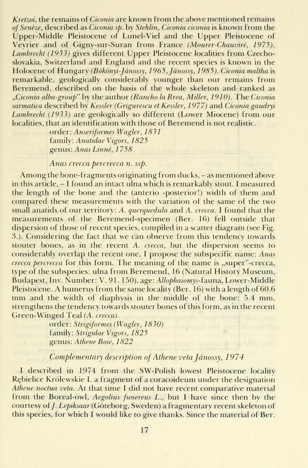 Kretzoi, the remains of Ciconia are known from the above mentioned remains o/senéze, described as Ciconia sp.