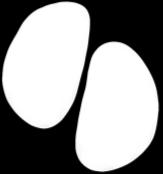 CRP, C-reactive protein; IL, interleukin; MMP, matrix