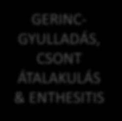 McInnes IB.