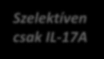 légúti fertőzés és fejfájás 2 4 Majdnem nulla injekciós reakció 12 Nagyon alacsony immunogenitás (<1%) 3 éven keresztül* 13 URTI, upper respiratory tract infections *Based on data from patients with