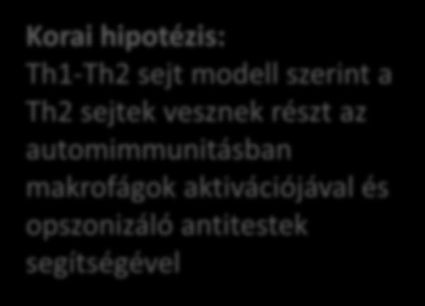 1986: az autoimmunitás korai elmélete IL-4 Naïv T sejt Antigén bemutatás IL-12 Korai hipotézis: