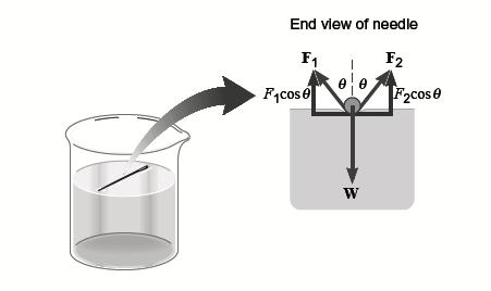 Számítási példa A tű hossza 3,2 cm milyen tömegű tű kell a kísérlethez, hogy ne süllyedjen el Megoldás: http://scipp.ucsc.edu/~haber/ph5b/bubble.