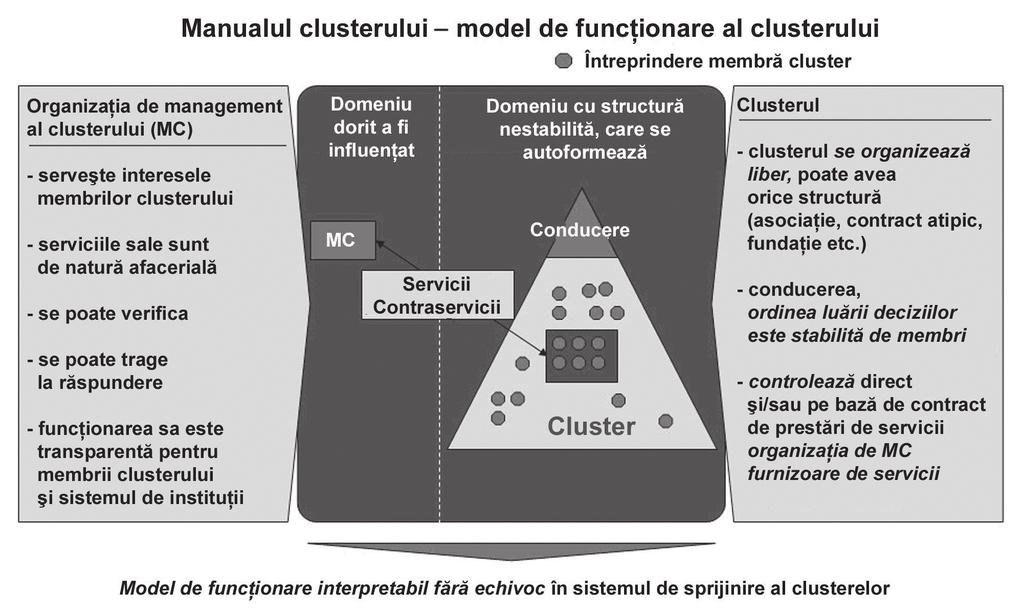 MODULUL VIII. Cunoștințe legate de managementul rețelelor și clusterelor 285 structura organizatorică a clusterului (competenţe de propuneri, decizie etc.