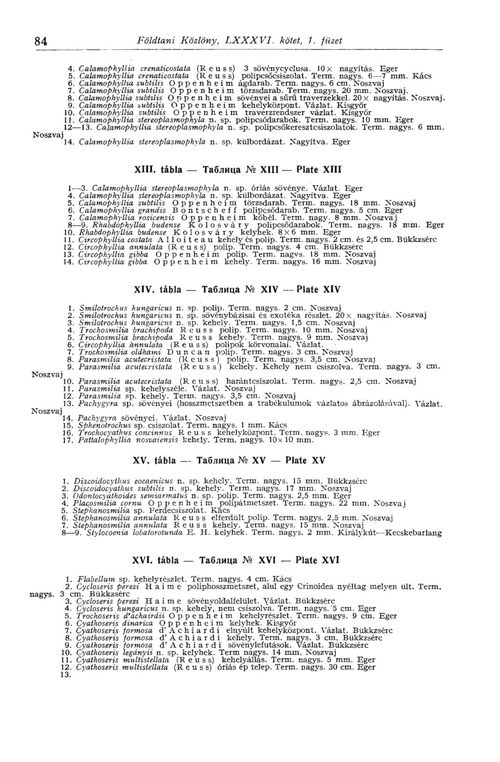 84 Földtani Közlöny, LXXXVI. kötet, 7, füzet 4. Calamophyllia crenaticostata (Reuss) 3 sövénycyclusa. 10 x nagyítás. Eger 5. Calamophyllia crenaticostata (Reuss) polipcsöcsiszolat. Term, nagys.