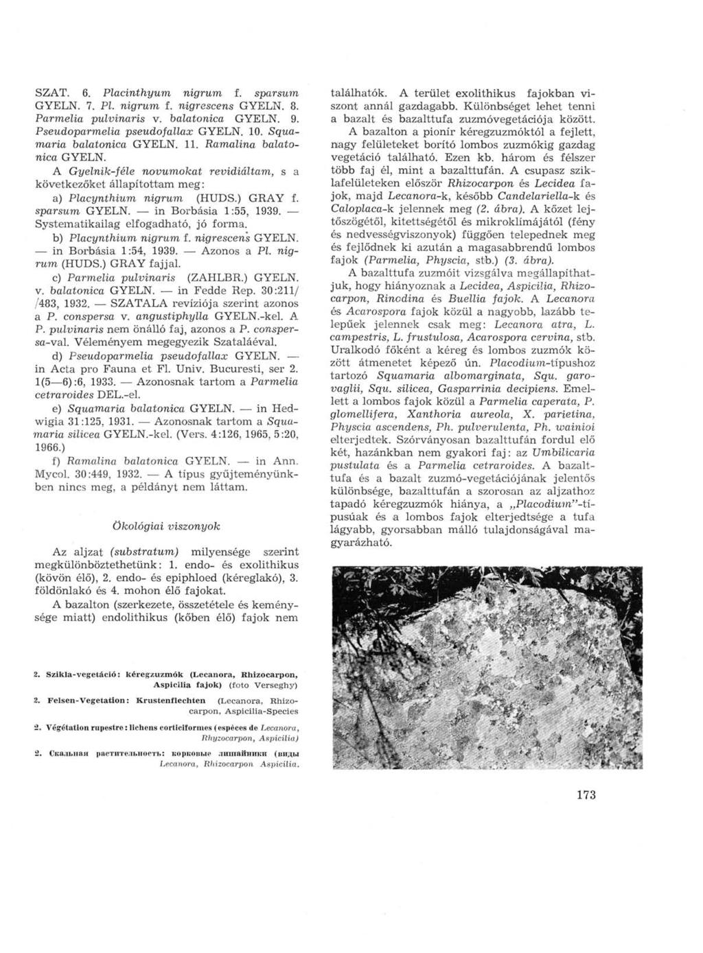 SZAT. 6. Placirithyum nigrum f. sparsum GYELN. 7. PL nigrum f. nigrescens GYELN. 8. Parmelia pulvinaris v. balatonica GYELN. 9. Pseudoparmelia pseudofallax GYELN. 10. Squamaria balatonica GYELN. 11.